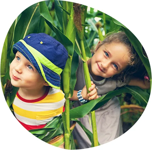 Sustainable page first section background