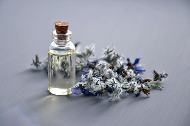 5 Alasan Dibalik Pembuatan Perfume Unisex Terbaik